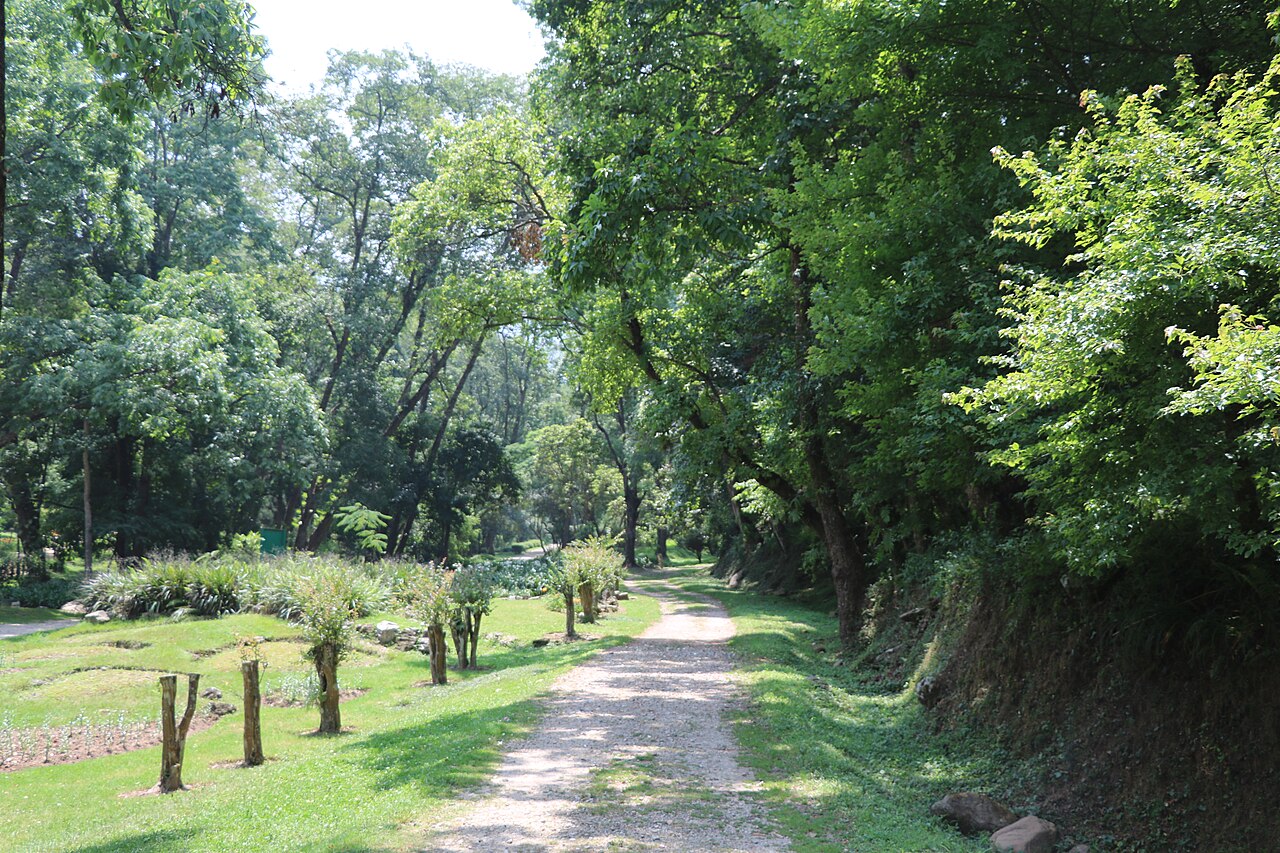 Garden path among mature trees in Godawari Botanical Garden